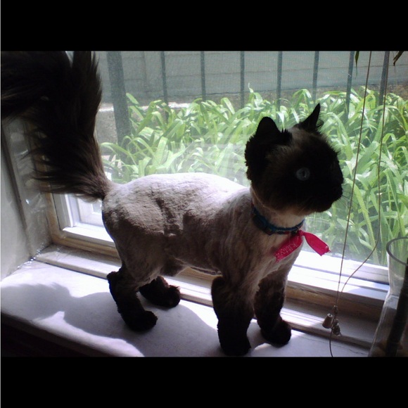 Meet your Posher, Rachael - Picture 1 of 1